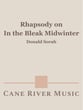 Rhapsody on in the Bleak Midwinter Orchestra sheet music cover